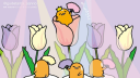 /admiring ♡ giveaways , social & guilds server banner