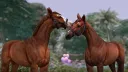 Equinity Sims banner
