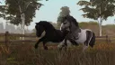Equinity Sims banner