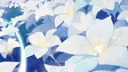 ââŽâ¬ðºððð âðð ðŒððððð¡â¬âŽâ€ Discord server banner