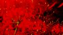 AnimeGodSquad | 神の森 Banner