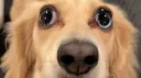 Lobster Palace Discord server banner