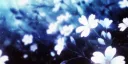 nausica Discord server banner