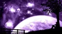 𝐌𝐓 𝐒𝐞𝐫𝐯𝐢𝐜𝐞𝐬 banner
