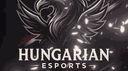 Hungarian Esports banner