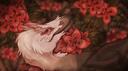 Rosa Wildlife Reserve Banner