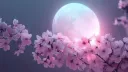 ☆ﾟ.* Vaelysia server banner
