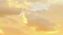 warm bot banner