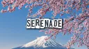〖𝒮𝑒𝓇𝑒𝓃𝒶𝒹𝑒〗 server banner