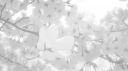 ❀ َ   ℬαssiᥱ's  𝒃oυtiqυᥱ   ֺּׅ𓏽⑅ server banner