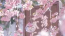Sakura Sanctuary server banner