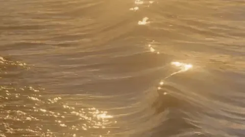 Apocalypse™🌙|| Chill・sfw・nonDating・hangout・gwy banner