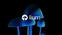lium.io banner