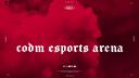 CODM eSports Arena Banner