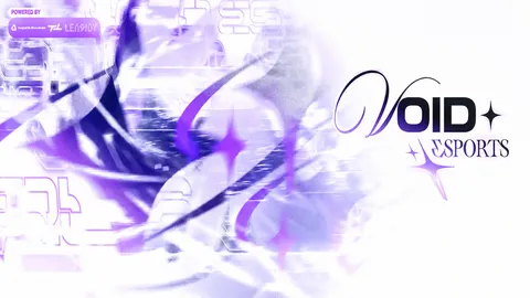 Void Esports™ banner