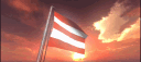 Vlsk PPF (back) banner
