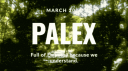 Palex | Social · Chilling · Indian · Community Banner