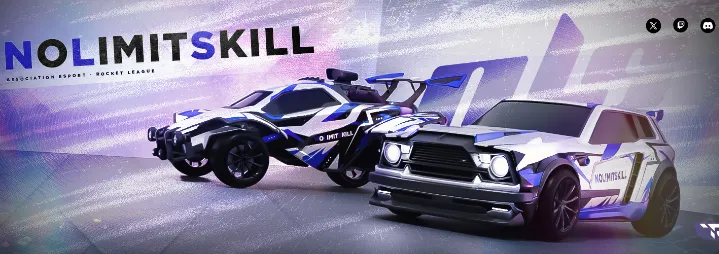 NLS ESPORT#3439 banner
