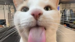 Wasch Clothing server banner