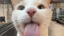 Wasch Clothing Discord server banner