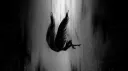 Nocturnal Shadows banner