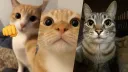 !!! banner