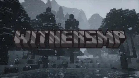 WitherSMP.net banner