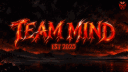 Team Mind - Organisation banner
