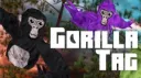VLL Tag (DISCONTINUED) banner