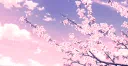 Blossoms & Bands Discord server banner