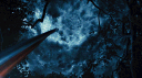 𝐃estiny 𝐨f 𝐭he 𝐌ockingjay banner