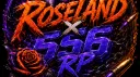 Roseland x 556 RP banner
