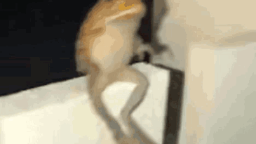 A.W.A Regiment Discord server banner