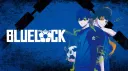 Striker banner
