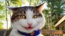 server in making ig ? Discord server banner