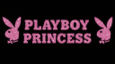 ˚⋆。°✩Princess♀Palace✩°。⋆˚ Discord server banner