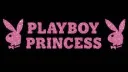 ˚⋆｡°✩Princess♀Palace✩°｡⋆˚ server banner