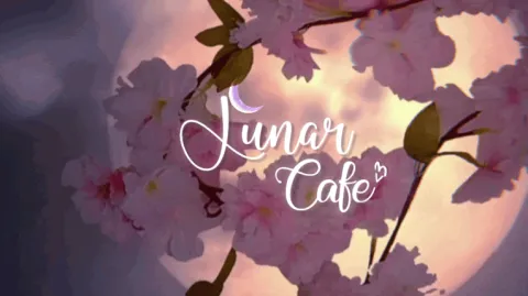 Lunarcafe™ | Chill . Social . Nitro Gwys . Pfp . Banners . Owo banner