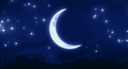 Evernight Glade banner