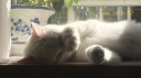 nappers Discord server banner