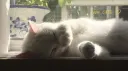 nappers Discord server banner
