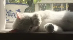 nappers server banner