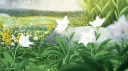 NEXCORE Discord server banner