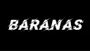 BARANAS.LT banner