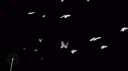 Titli server banner