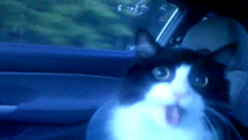 Dreadheads Discord server banner