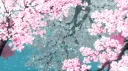 🏯🌸𝑺𝒆𝒓𝒆𝒏𝒊𝒕𝒚🌸🏯 server banner