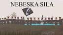 Bosansko Kraljevstvo Banner