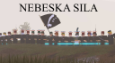 Bosansko Kraljevstvo banner