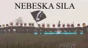 Bosansko Kraljevstvo Discord server banner